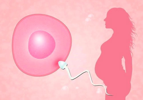 试管怎么避免早产？怎么预防孕妇早产？
